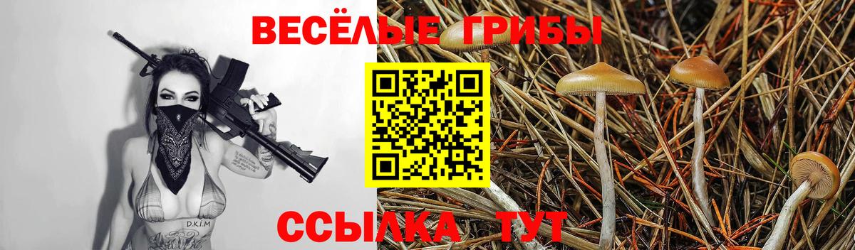 Люберцы  Галлюциногенные грибы мухоморы  где купить наркоту  Вход с VPN 